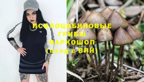 COCAINE Куйбышев
