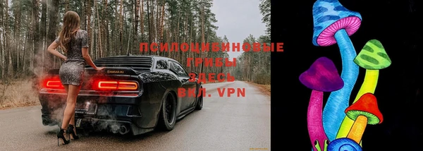 мескалин Арсеньев