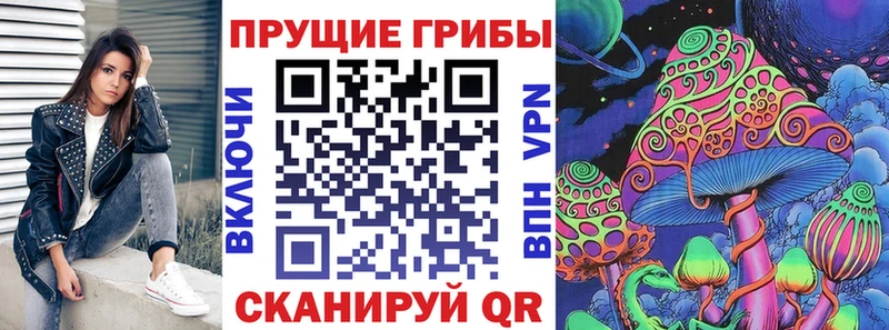 где купить наркоту  Тара  Галлюциногенные грибы прущие грибы 