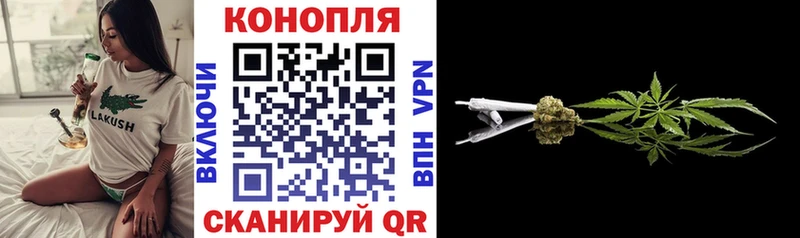 Бошки Шишки гибрид  blacksprut как войти  Тара  дарнет шоп 